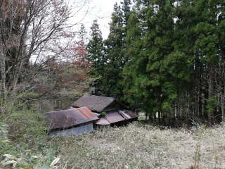画像に含まれている可能性があるもの:木、屋外